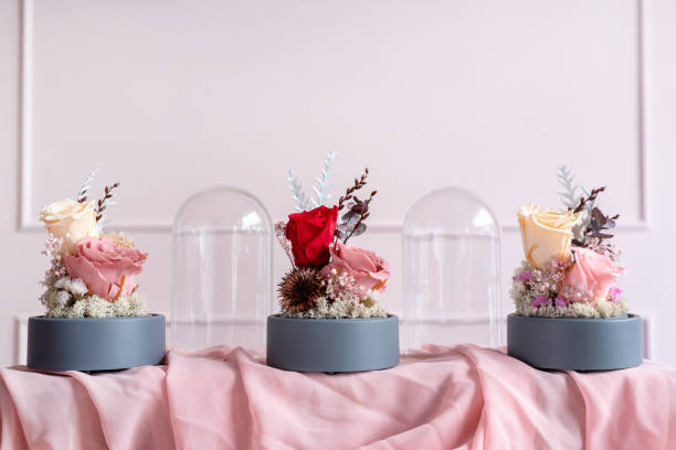 Roses de longue durée dans un dôme en verre - Photo