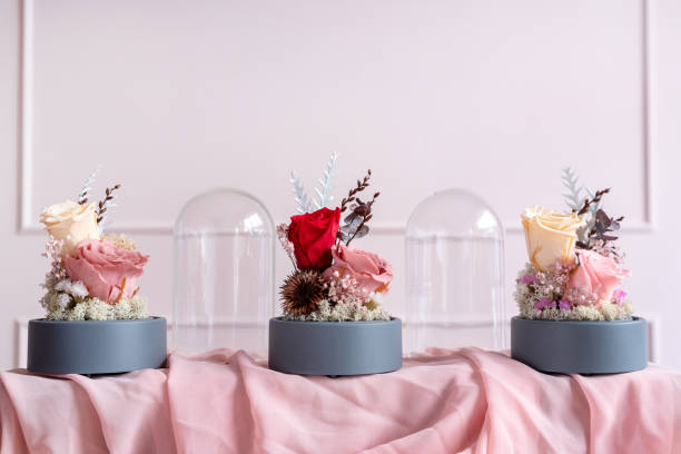 Long-lasting roses in a glass dome