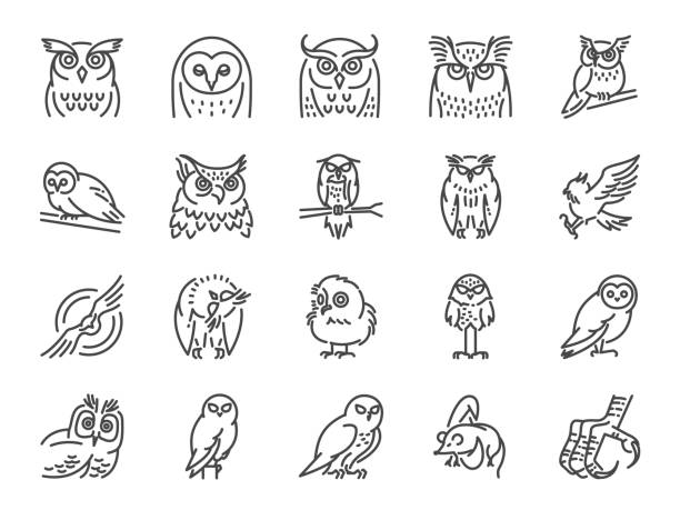 Owl line icon set. Included icons as bird, beak, claw, fly, hunt and more. Owl line icon set. Included icons as bird, beak, claw, fly, hunt and more. burrowing owl stock illustrations