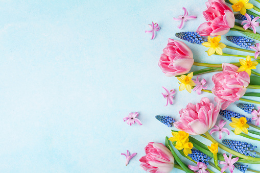 Colorful beautiful spring flowers on pastel table top view. Greeting card for International Women Day. Flat lay style.