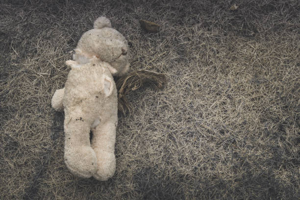 istock Old dirty bear doll abandoned on the grass., Lonely and sad concept. with copy space for text. 1132050747