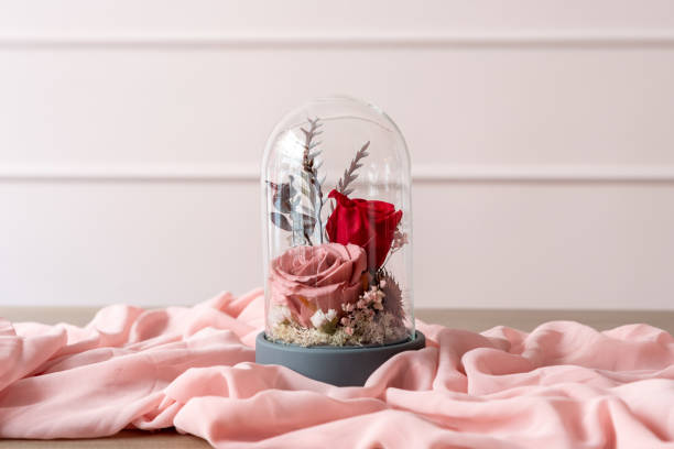 istock Long-lasting roses in a glass dome 1132052886