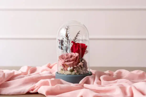 Photo of Long-lasting roses in a glass dome