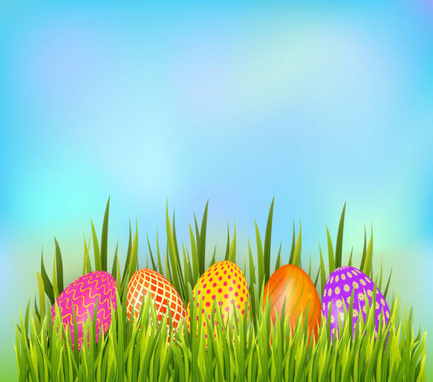 ilustrações, clipart, desenhos animados e ícones de fileira de ovos de easter decorados que escondem na grama no fundo do céu. elemento de borda inferior. ilustração do vetor - red easter blue frame