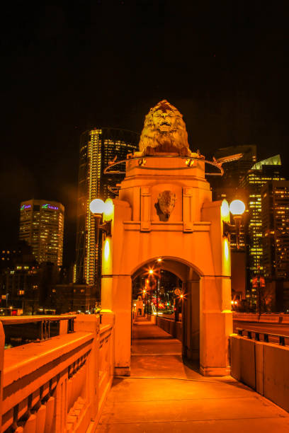 istock City of calgary at night, Calgary, Alberta, Canada 1132056089