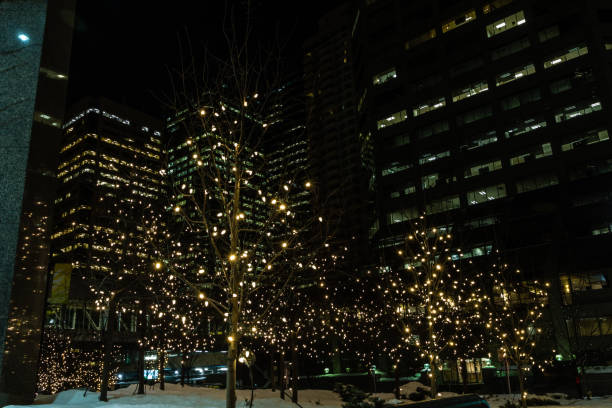 istock Christmas lights twinkle in the city, Calgary, Alberta, Canada 1132056195