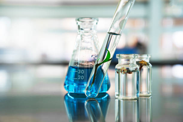 バイオサイエンス研究所の背景にフラスコに青色の液体溶液とバイアルにガラス試験管と花の緑の休暇工場 - vial laboratory test tube biotechnology ストックフォトと画像