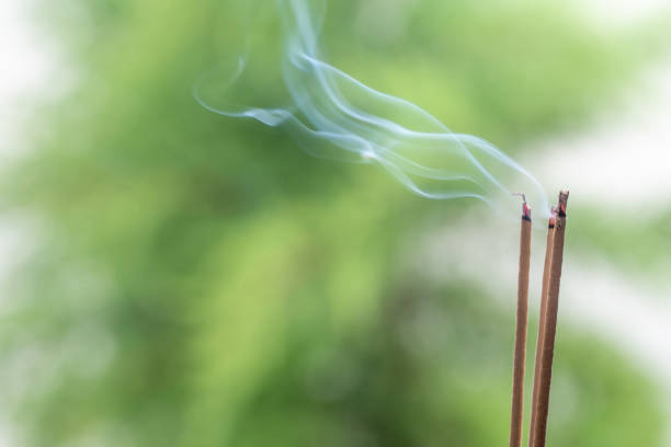 istock Incense stick and smoke from incense burning. Beautiful smoke. Blurred background and design with copy space. 1132058028