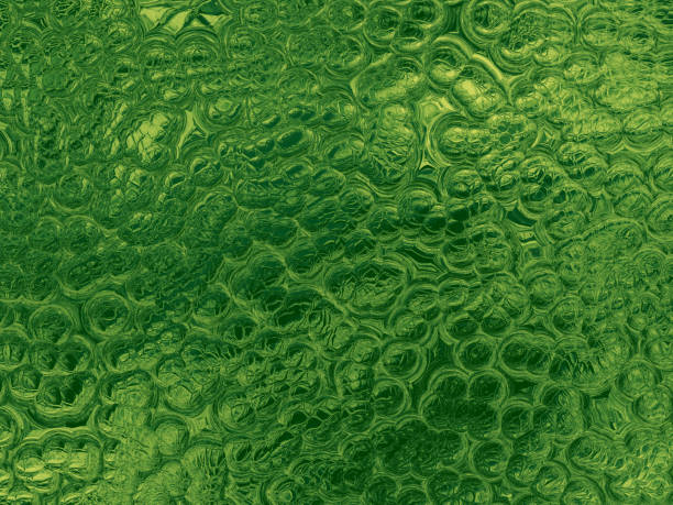 Green Gold Crocodile Snake Dinosaur Dragon Reptile Leather Texture Abstract Bubble Pattern