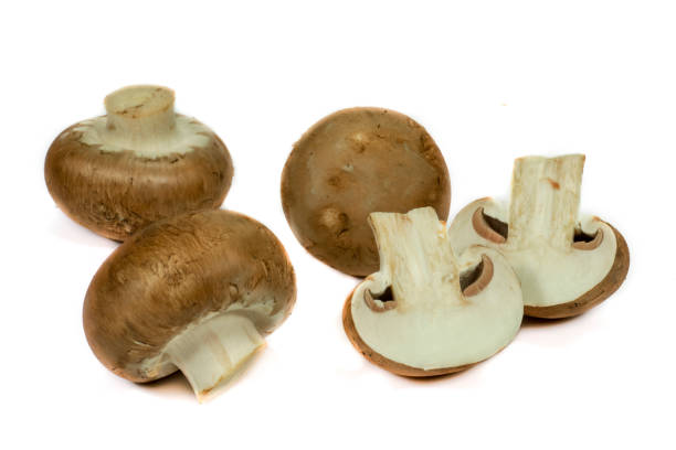 istock Fresh whole crimini (Baby Bella) mushrooms 1132059354
