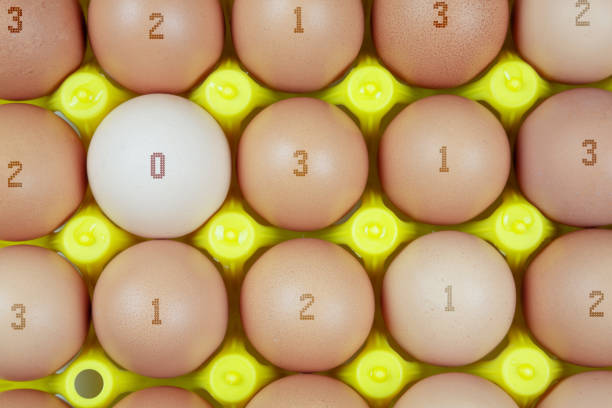 plate of chicken eggs marked according to their breeding method. Concept of qualitative marking of eggs with Package Container.