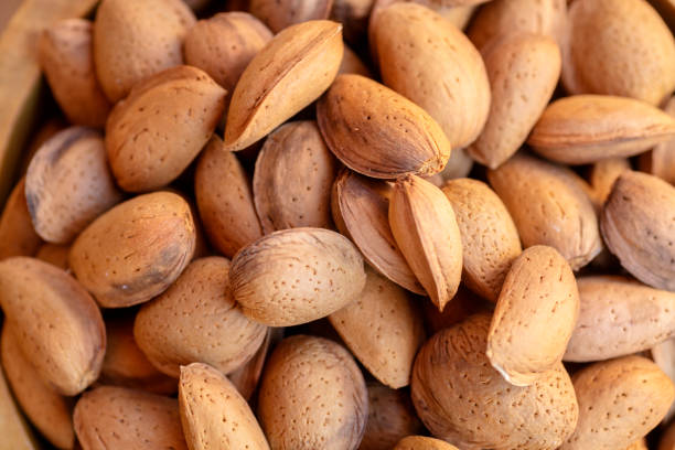 Almond abundance stock photo
