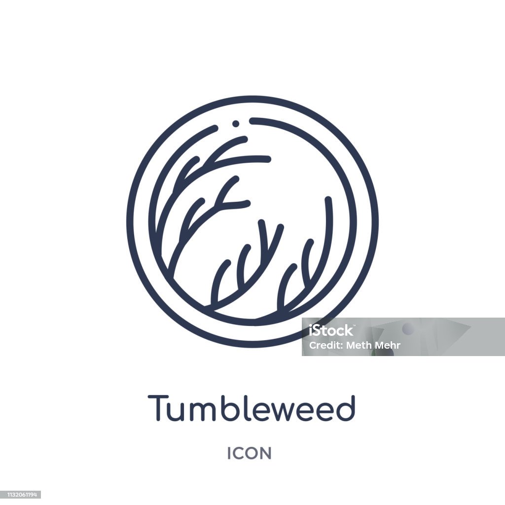 Linear tumbleweed icon from Desert outline collection. Thin line tumbleweed vector isolated on white background. tumbleweed trendy illustration Tumbleweed stock vector