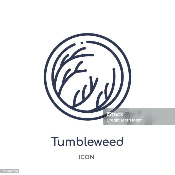 Linear Tumbleweed Icon From Desert Outline Collection Thin Line Tumbleweed Vector Isolated On White Background Tumbleweed Trendy Illustration Stock Illustration - Download Image Now