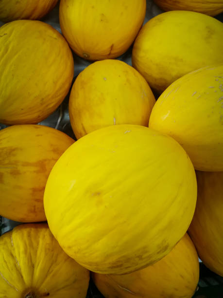 istock delicious fresh melons on a market stall 1132061320