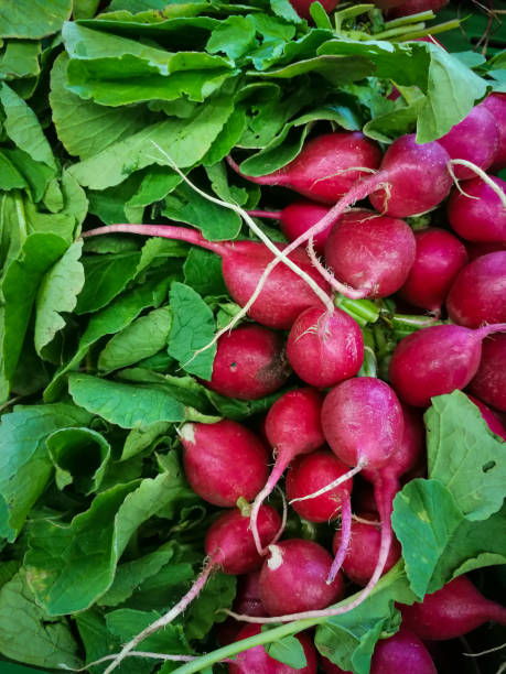 istock fresh vegetables on a market stall - radish 1132061345