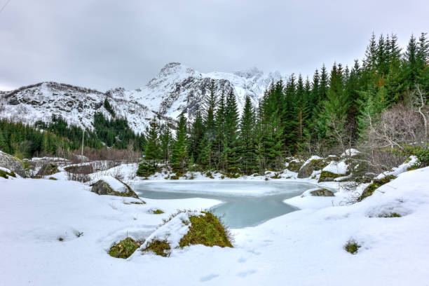 istock Storvatnet Lake - Lofoten Islands, Norway 1132063784