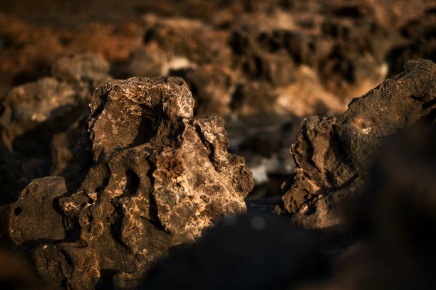frozen lava in Tenerife by the ocean