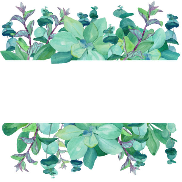 istock Watercolor hand drawn frame of baby blue eucalyptus, decorative nettle, mint, succulents. 1132066379