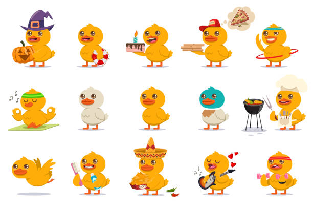 Cute baby duck set. Vector cartoon character of funny bird with different kawaii emotions and costumes isolated on a white background. Baby duck vector cartoon character set. duck bird illustrations stock illustrations