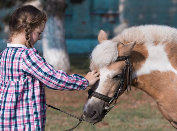 istock Pony and girl. Close up. Autumn 1132068666