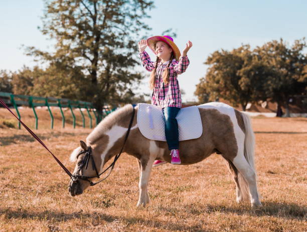 istock Pony. Landscape. Riding. Autumn 1132068694