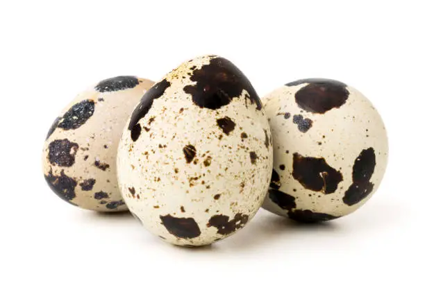 Three quail eggs on a white background, close up.