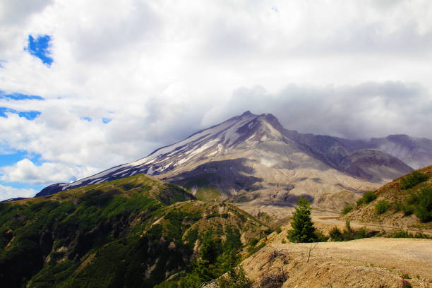 istock National park Mount Rainier in Norh America 1132077107