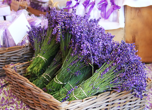 Beautiful purple lavender bouquets lie in a wicker basket on the market