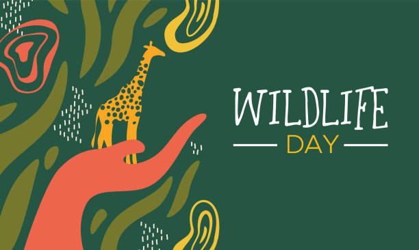 wildlife day african art card z ludzką ręką trzymającą dziką koncepcję opieki nad zwierzętami żyrafy - gatunek zagrożony obrazy stock illustrations