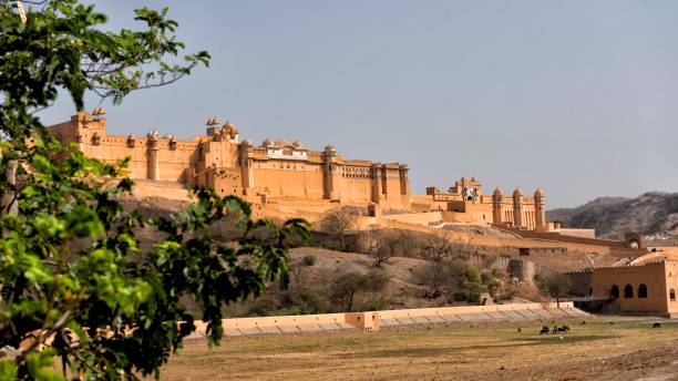 istock Jodhpur fortress 1132077819