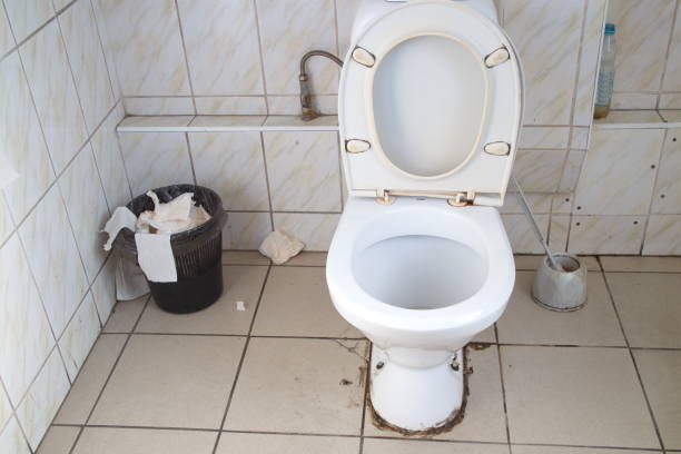 istock toilet, tile, white toilet 1132079085