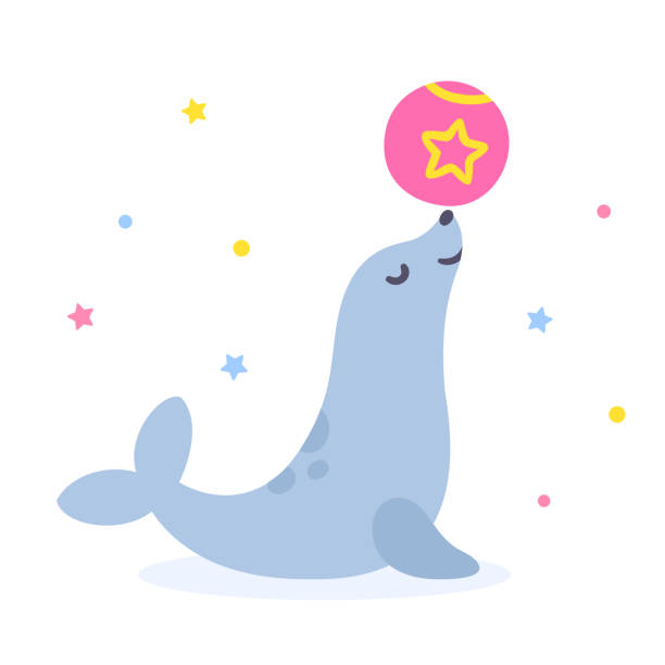 147 Sea Lion Ball Illustrations & Clip Art - iStock | Seal, Sea lion  swimming, Elephant