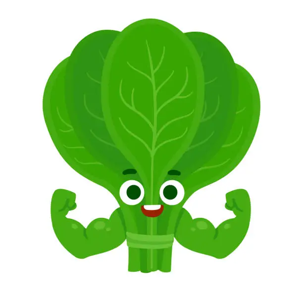 Vector illustration of Funny spinach character