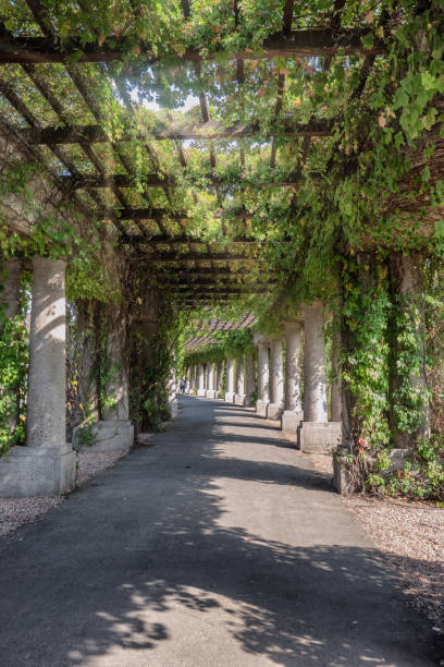 istock Pergola round the Centennial Hall in Wroclaw 1132080825
