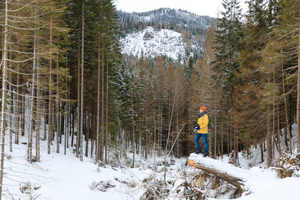 istock The photographer with camera in forest 1132083788