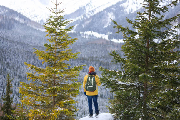 istock The traveler on the cliff 1132083811