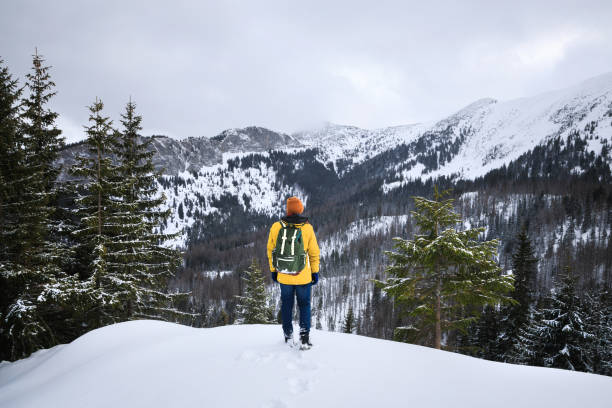 istock The traveler on the cliff 1132083832