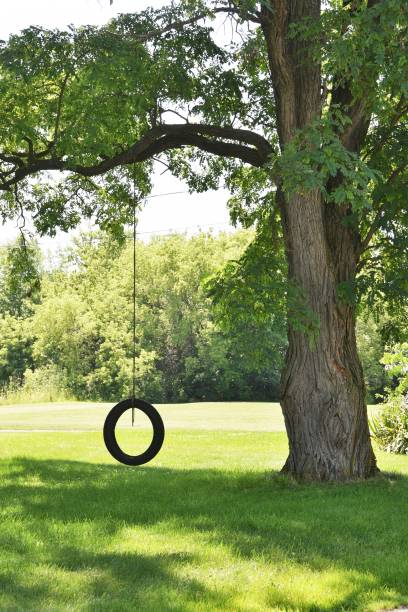 istock Tire Swing in the Shade 1132085481