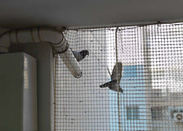 protective net on a window stock photo