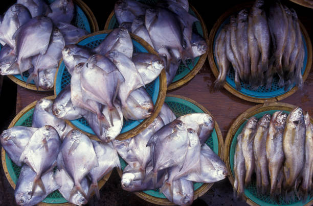 istock SOUTHKOREA SEOUL MARKET FISH 1132088394