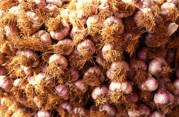 garlic in a shop on a market in the city of Seoul in South Korea in EastAasia.  Southkorea, Seoul, May, 2006