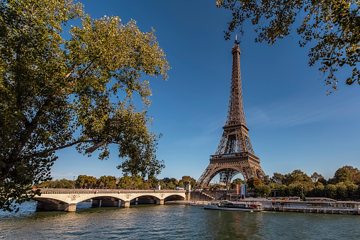 The famous Tour Eiffel and the Seine river framed by a tree.