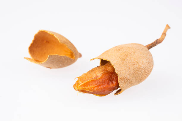 istock Tamarind tropical fruit - Tamarindus indica. Text space 1132090545