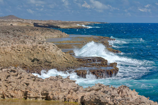istock Wild Curacao - Suplado hot tub 1132090858