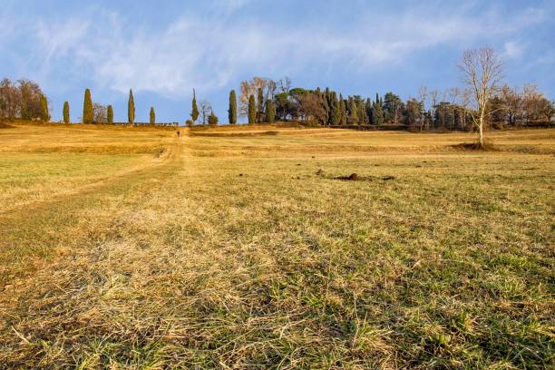 istock Pomelasca, Inverigo, Como, Italy 1132091947