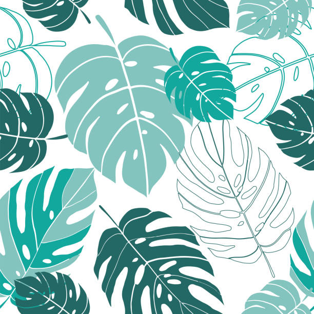 illustrazioni stock, clip art, cartoni animati e icone di tendenza di il modello vettoriale senza soluzione di continuità monstera tropicale lascia lo sfondo - palm leaf frond leaf backgrounds