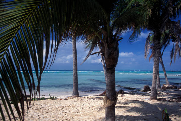 istock MEXICO YUCATAN CANCUN BEACH CARIBBEAN SEA 1132092214
