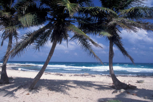istock MEXICO YUCATAN CANCUN BEACH CARIBBEAN SEA 1132092393