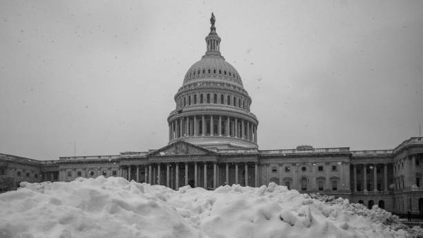 istock The U.S. Capitol during a Snowstorm 1132093825